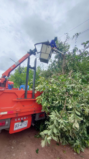 ตัดกิ่งไม้พาดสายไฟ